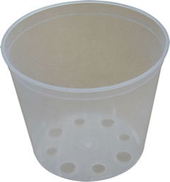 Orchidea cserép 18cm termék fő termékképe